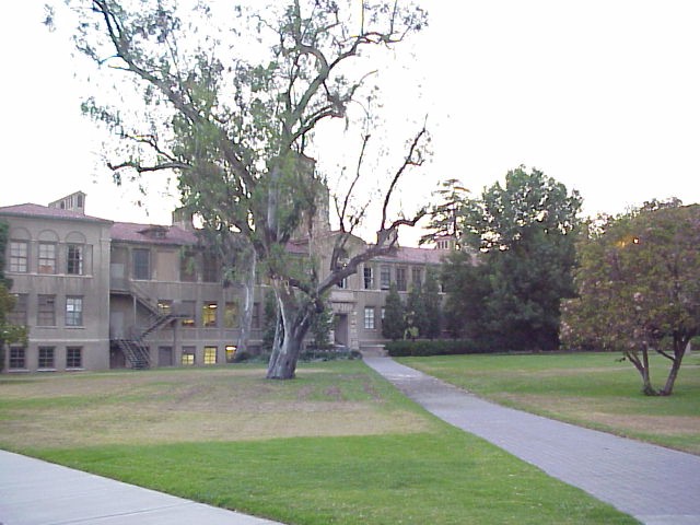 Pomona_College were the summer componentes take place.